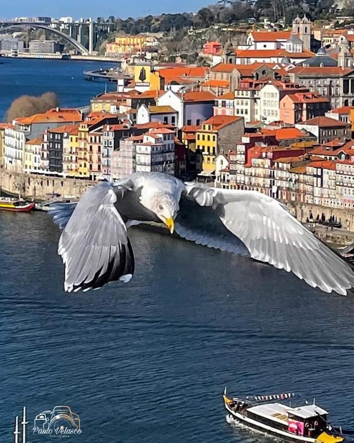 Casa Mira Douro Vila Vila Nova de Gaia Exterior foto